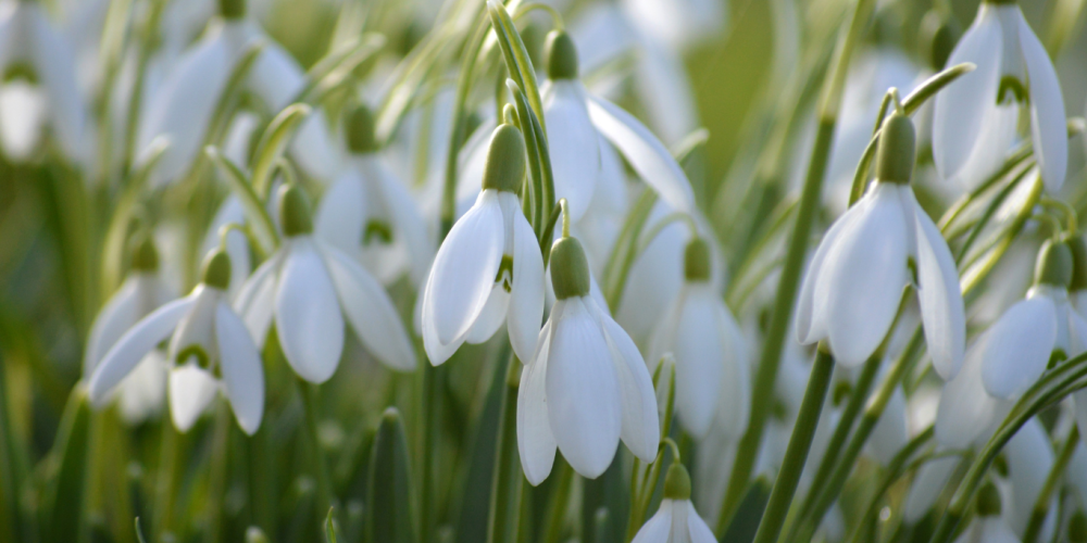 Siltumenerģijas tarifa izmaiņas no 1. aprīļa